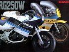 Suzuki RG 250 Gamma